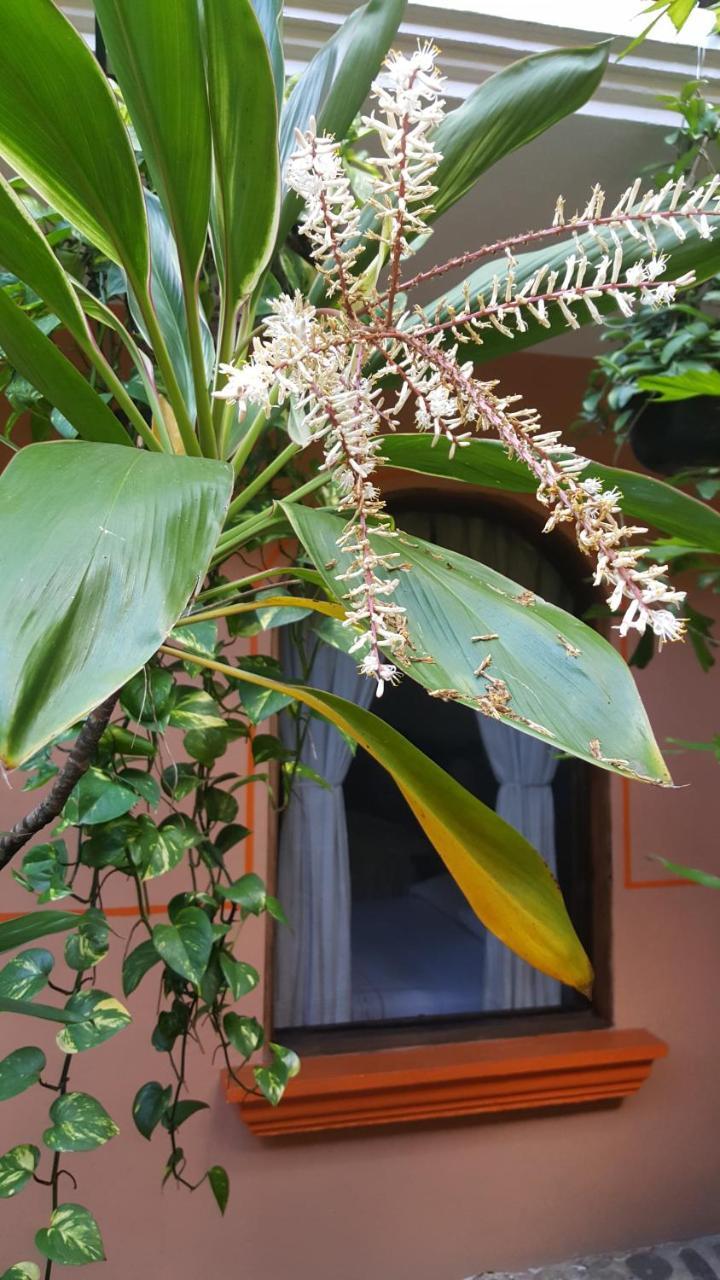 Hotel Posada San Jerónimo Coatepec  Exterior foto